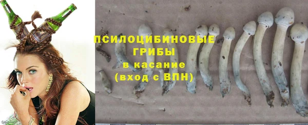 а пвп мука Дмитровск