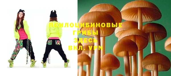 МДПВ Дмитров