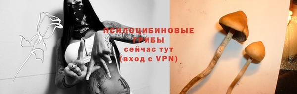 МДПВ Дмитров